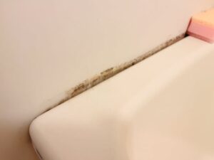 カビの発生が気になる方